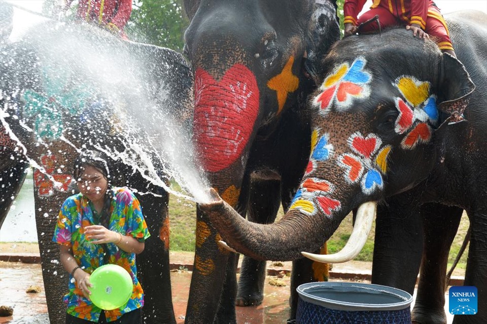 Ở Ayutthaya, từ ngày 11.4, du khách đã bắt đầu được trải nghiệm chơi té nước cùng voi trước ngày diễn ra lễ hội chính thức.