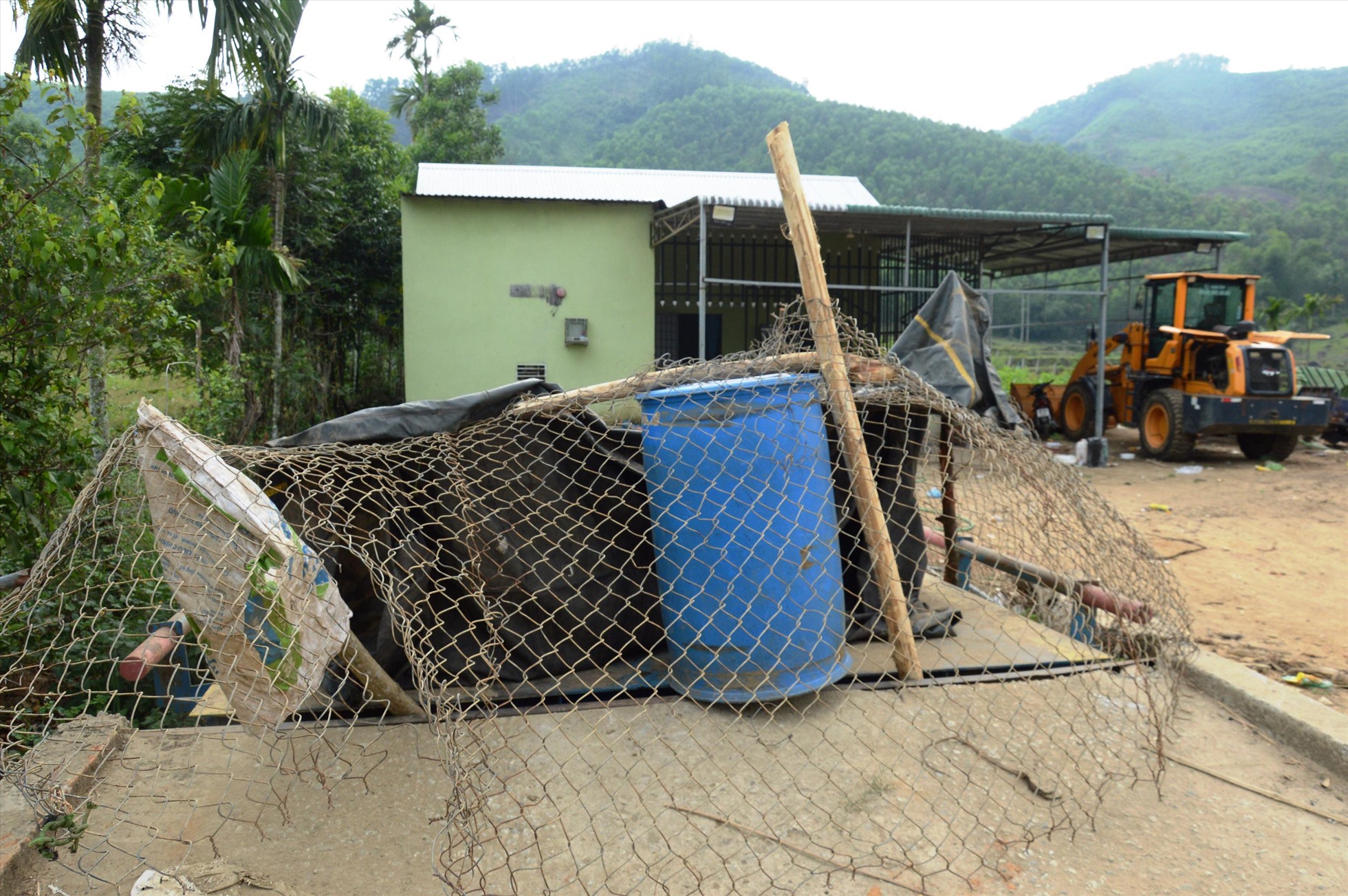 Hàng loạt trạm cân thu mua keo ở các huyện miền núi tỉnh Quảng Ngãi buộc phải đóng cửa theo yêu cầu của nhà chức trách, khiến hàng nghìn hộ trồng keo bí đường vận chuyển. Ảnh: Ngọc Viên