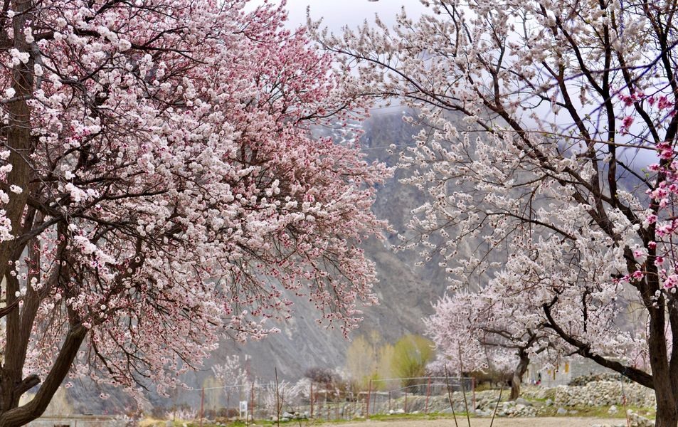 Hunza nằm ở khu vực phía Đông Bắc của Gilgit Baltistan, Pakistan. Là thung lũng biệt lập ở độ cao gần 2.500m, và chỉ mất khoảng 4 giờ đồng hồ để đến Tân Cương, Trung Quốc. Đây là nơi ở của cộng đồng người Hunza có tuổi thọ cao nhất thế giới. Từ trung tâm Hunza, bạn có thể chỉ mấy 4 giờ đồng hồ để đến Trung Quốc.