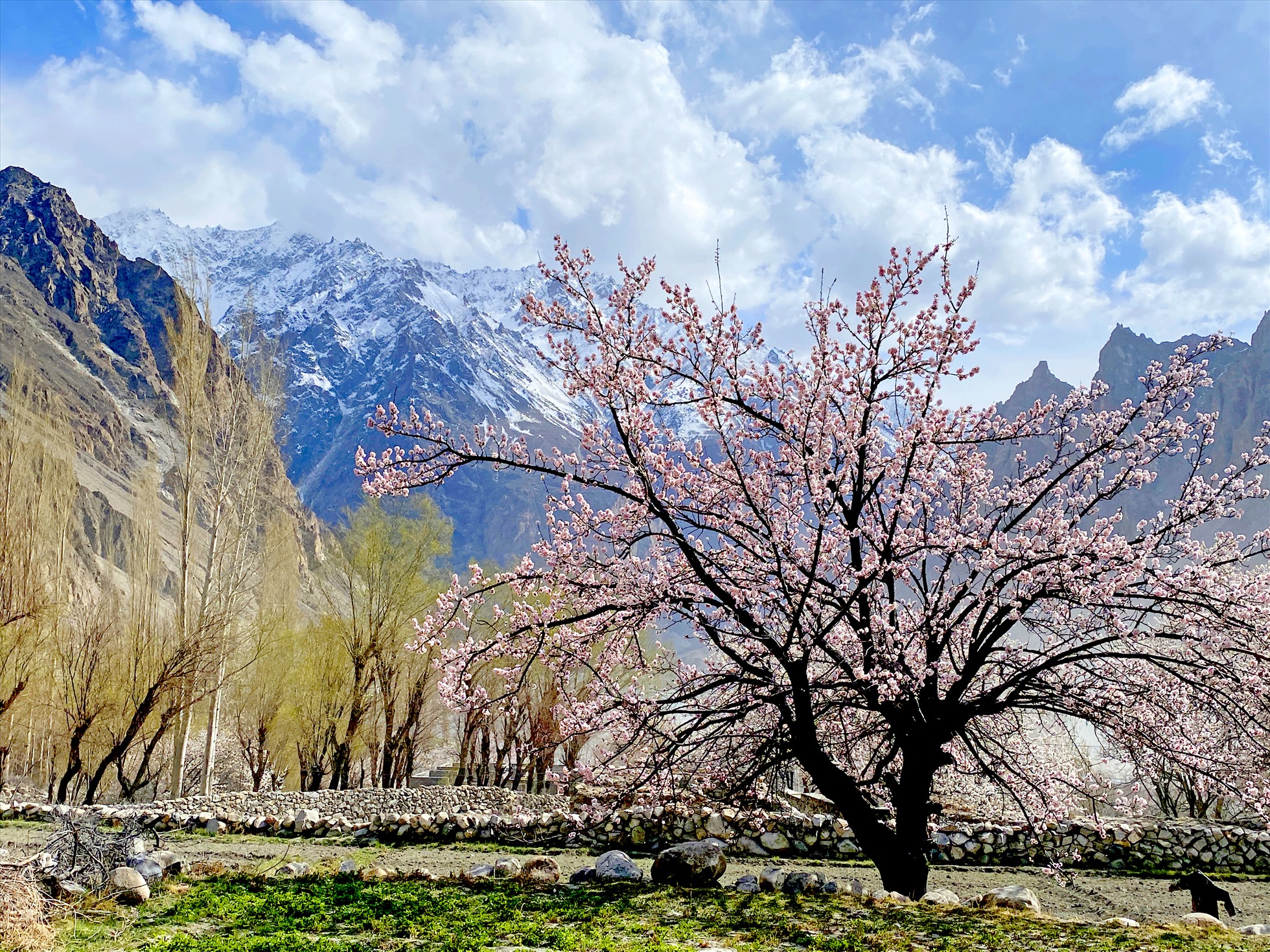 Mùa du lịch Hunza kéo dài từ mùa xuân cho đến hết tháng 10, tuy nhiên khoảng thời gian được nhiều người lựa chọn là từ tháng 5 trở đi. Hiếm khách đến đây vào mùa đông vì thời tiết rất khắc nghiệt, nhiệt độ có thể xuống dưới – 10 độ C hoặc lạnh hơn.