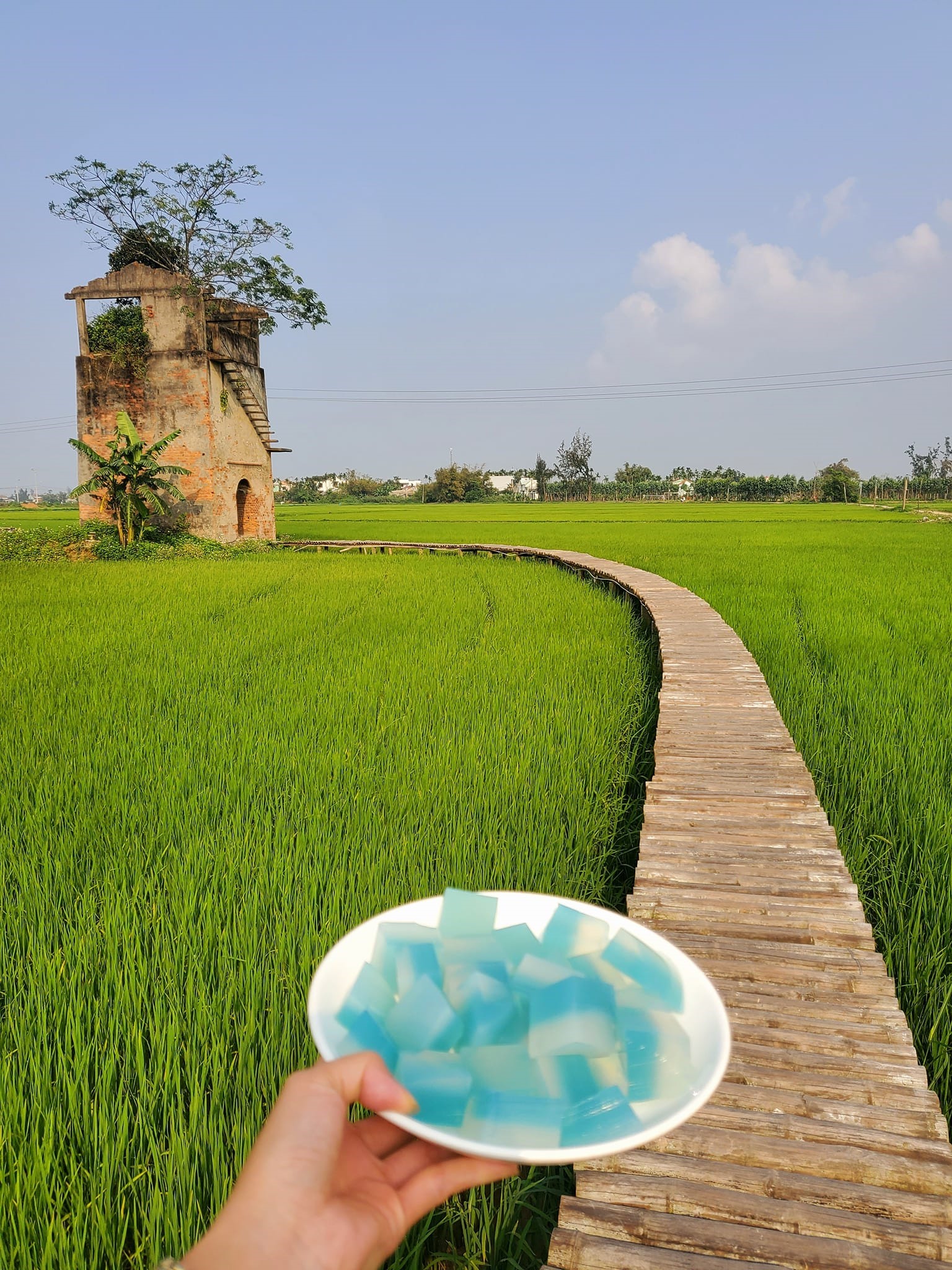Những quán cafe view đồng lúa ở Việt Nam đẹp nức nở lúc nào cũng hot