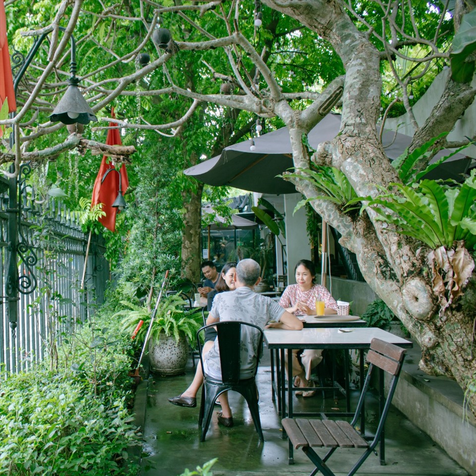 The Ylang Gardenista mang đến không gian khác biệt hoàn toàn với các quán cafe sân vườn thường thấy. Nơi đây được ví như “ốc đảo tươi” giữa lòng thủ đô khi đưa yếu tố thiên nhiên vào trang trí nội thất. Ảnh: