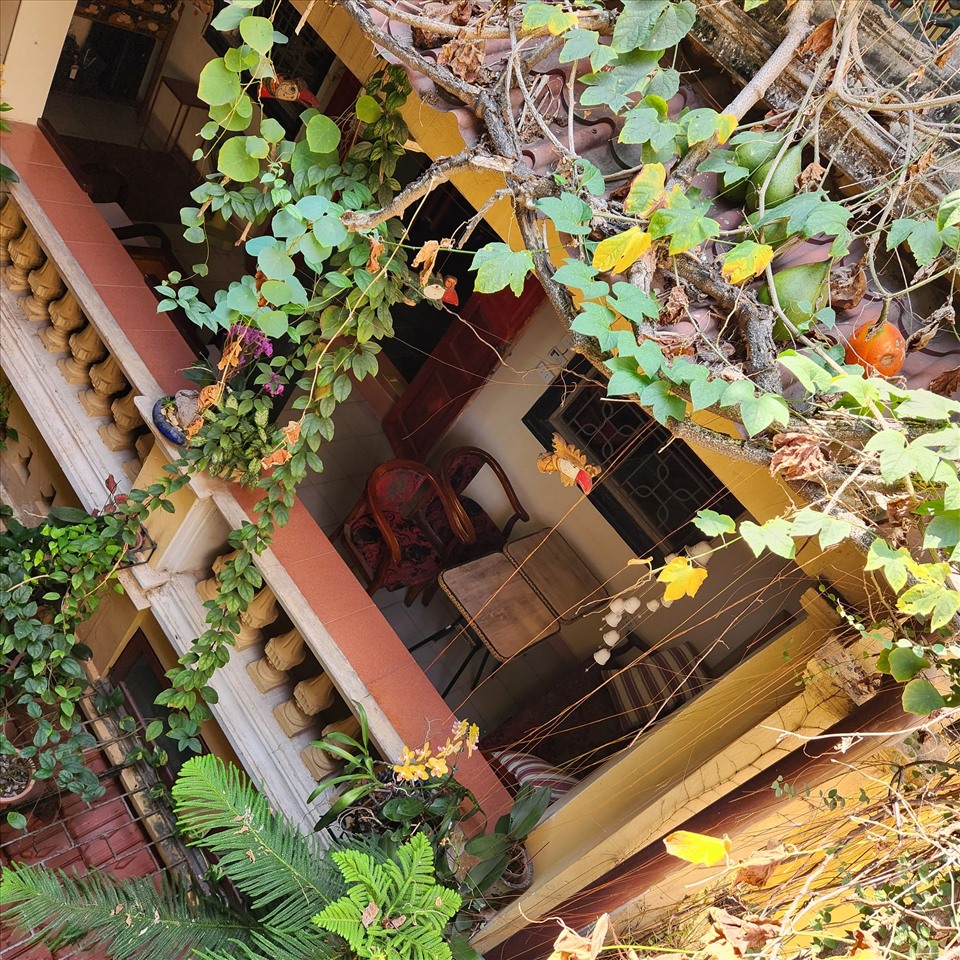 Nola Cafe có thiết kế cổ điển với bộ bàn ghế hai màu trắng – đen đối lập, tường gạch thô mộc và đặc biệt mái hiên lợp bằng những chiếc ô nhiều màu sắc gây ấn tượng cho du khách. Giữa nhà còn có khoảng sân xanh thoáng đãng, không gian tĩnh mịch và an yên. Ảnh: NOLA cafe & bar
