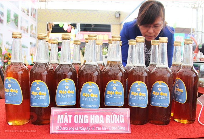 Với giá thành hợp lý, mật ong rừng được nhiều người tìm mua để sử dụng. Ảnh: Cổng TTĐT tỉnh Bắc Giang