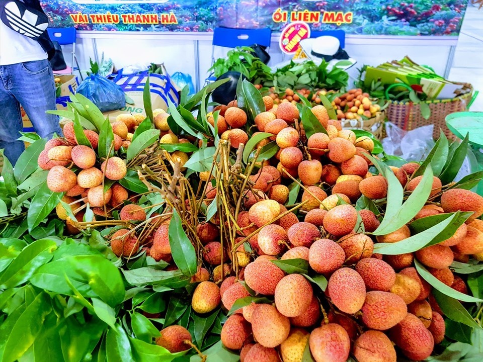 Vải thiều Lục Ngạn không chỉ trứ danh trong nước mà còn được xuất sang nhiều quốc gia khác như Trung Quốc, Thái Lan, Mỹ, Úc... Ảnh: Vũ Long