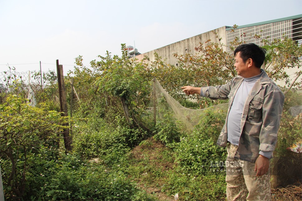 Nhiều hộ dân khi nhận bị thiếu diện tích đất tái định cư. Ảnh: Nguyễn Hoàn.