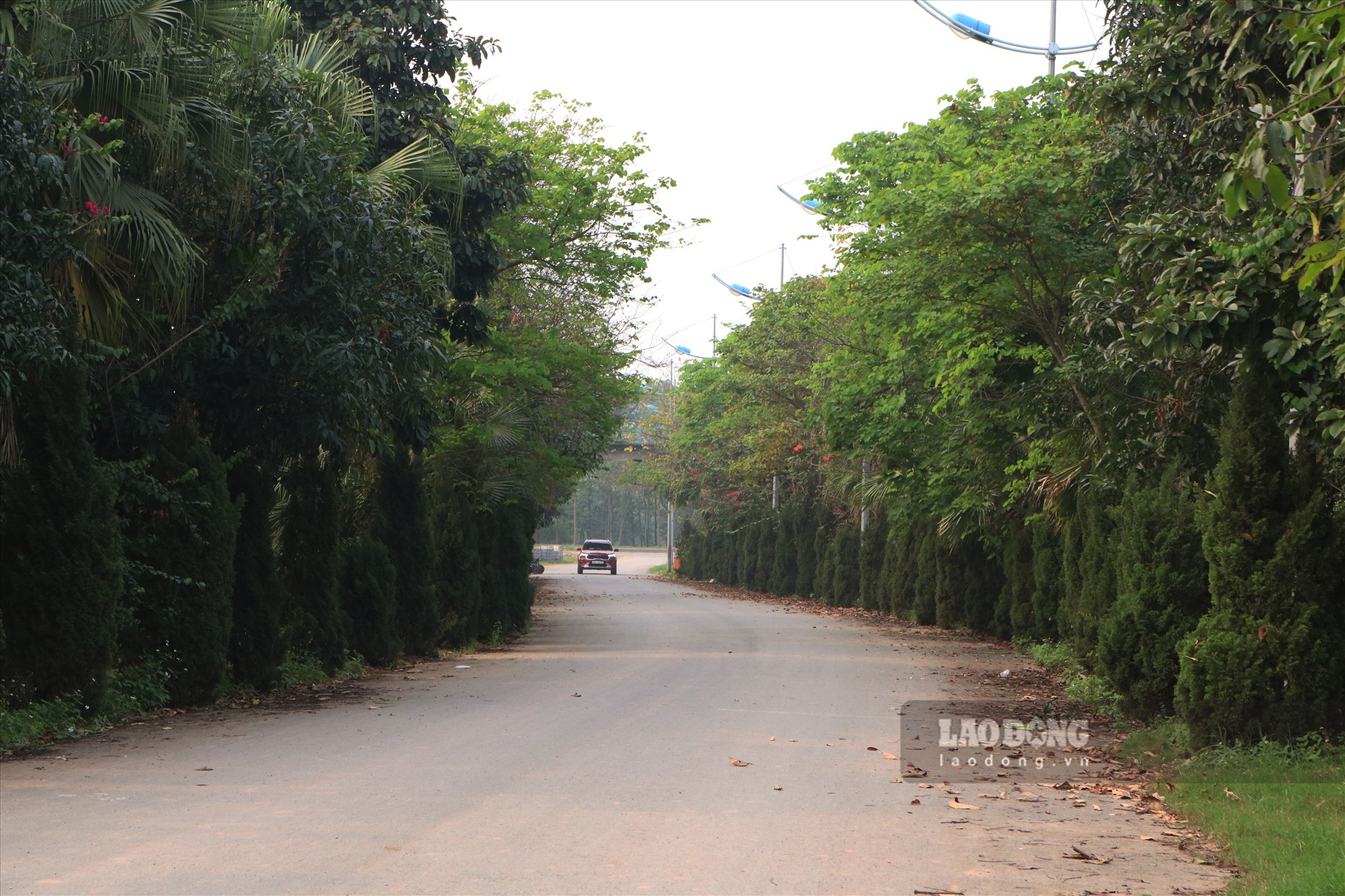 Năm 2019, UBND TP Hà Nội đã có báo cáo Thủ tướng Chính phủ sau khi Thanh tra TP Hà Nội có kết luận thanh tra toàn diện về dự án The Diamond Park. Việc thanh tra toàn diện dự án này được thực hiện theo chỉ đạo của Thủ tướng Chính phủ hồi cuối năm 2018.