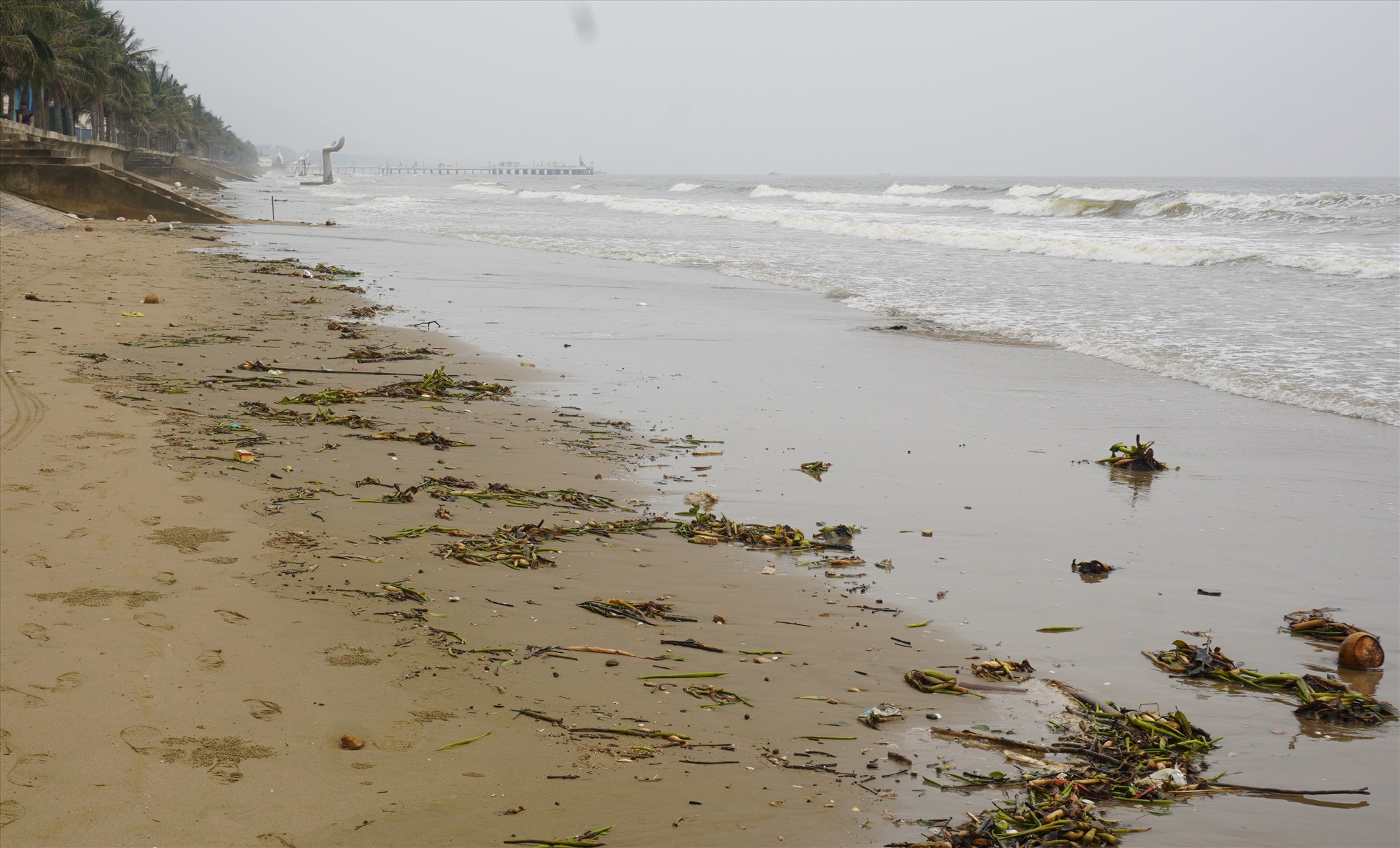 Anh Nguyễn Ngọc Quý (du khách đến từ Hà Nội) cho biết, anh cùng gia đình về biển Hải Tiến để nghỉ dưỡng vì nghĩ nước biển trong xanh, đẹp. Tuy nhiên khi đến đây thấy bãi biển đầy rác, nước đục và trông khá thất vọng. Ảnh: Quách Du