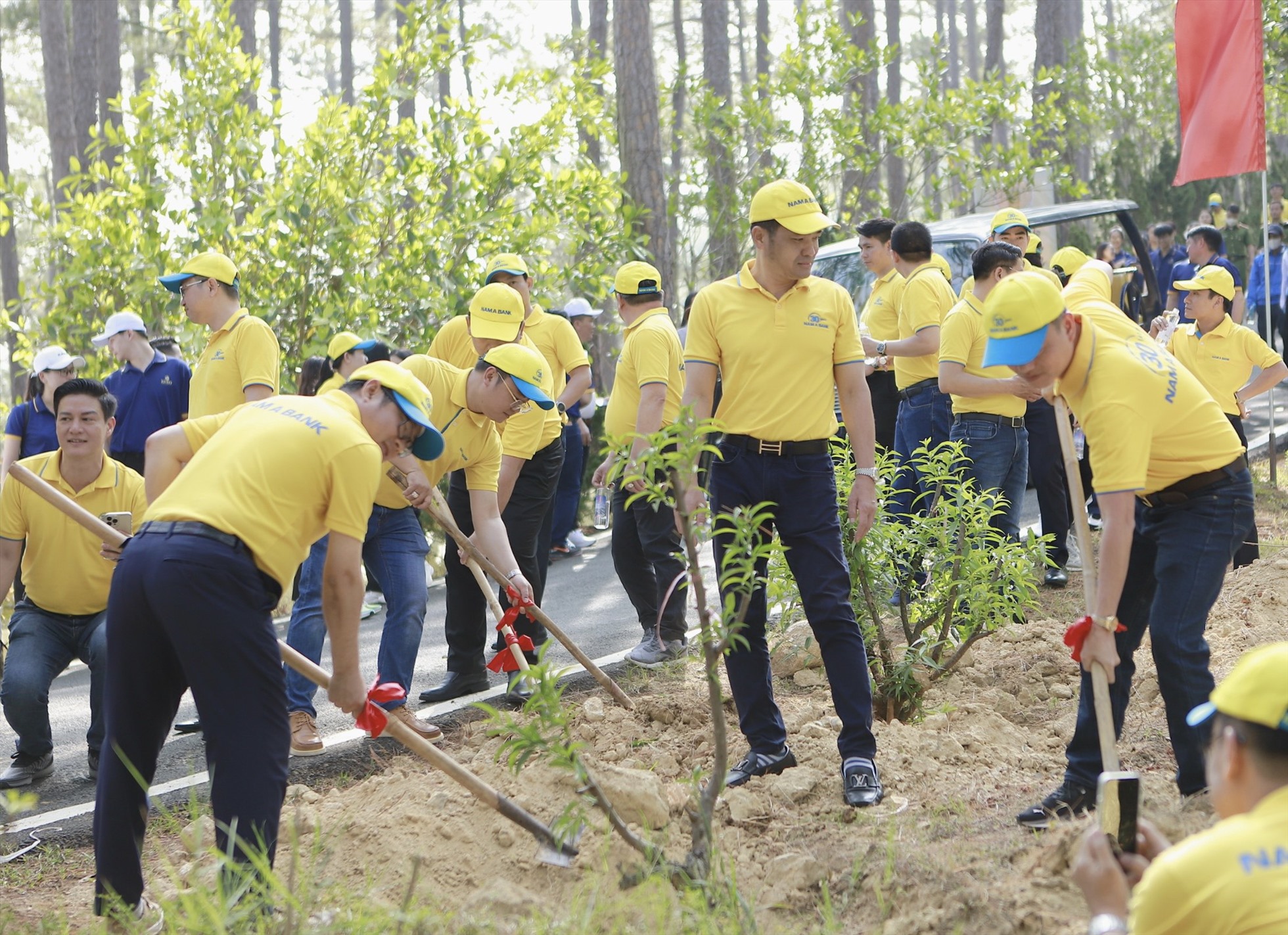 Đông đảo CBNV Nam A Bank ra quân trồng cây Mai anh đào tại Đền Hùng