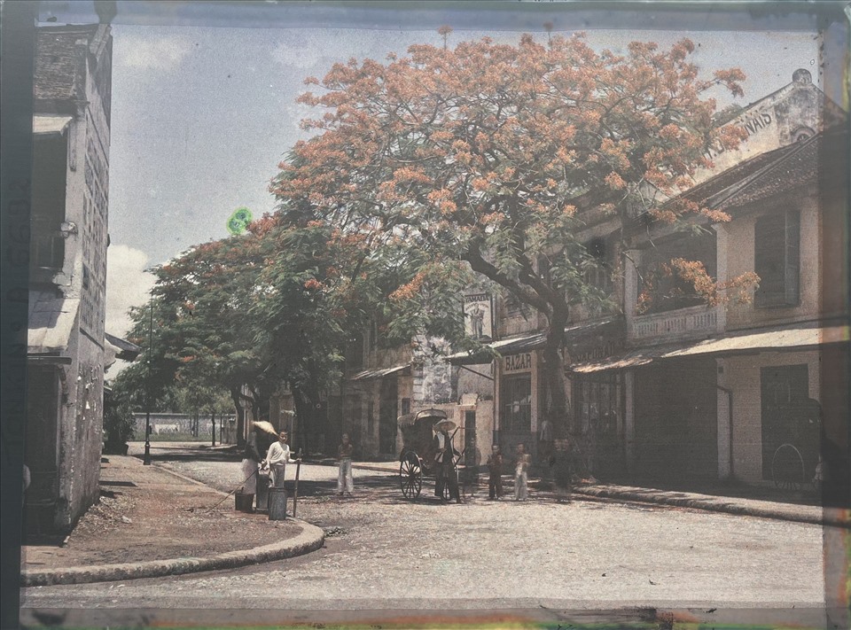 Cây phượng vĩ nở hoa trước cửa tiệm tạp hóa Bazard Yamada của Nhật trên phố Bát Sứ. Sau đó cửa tiệm này được chuyển đến phố Jules Ferry (nay là phố Hàng Trống). Trong ảnh có một trụ nước công cộng và một vài người đang lấy nước vào xô để gánh về.  Ảnh: Chi Trần.