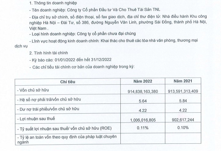 Kết quả kinh doanh TNL năm 2022. Ảnh: Chụp màn hình.