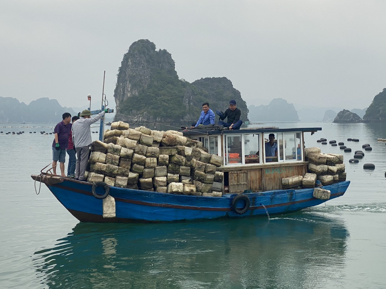 Ngày cao điểm, Vân Đồn thu gom được khoảng 20.000 quả phao xốp trên vịnh Bái Tử Long. Ảnh: Nguyễn Hùng