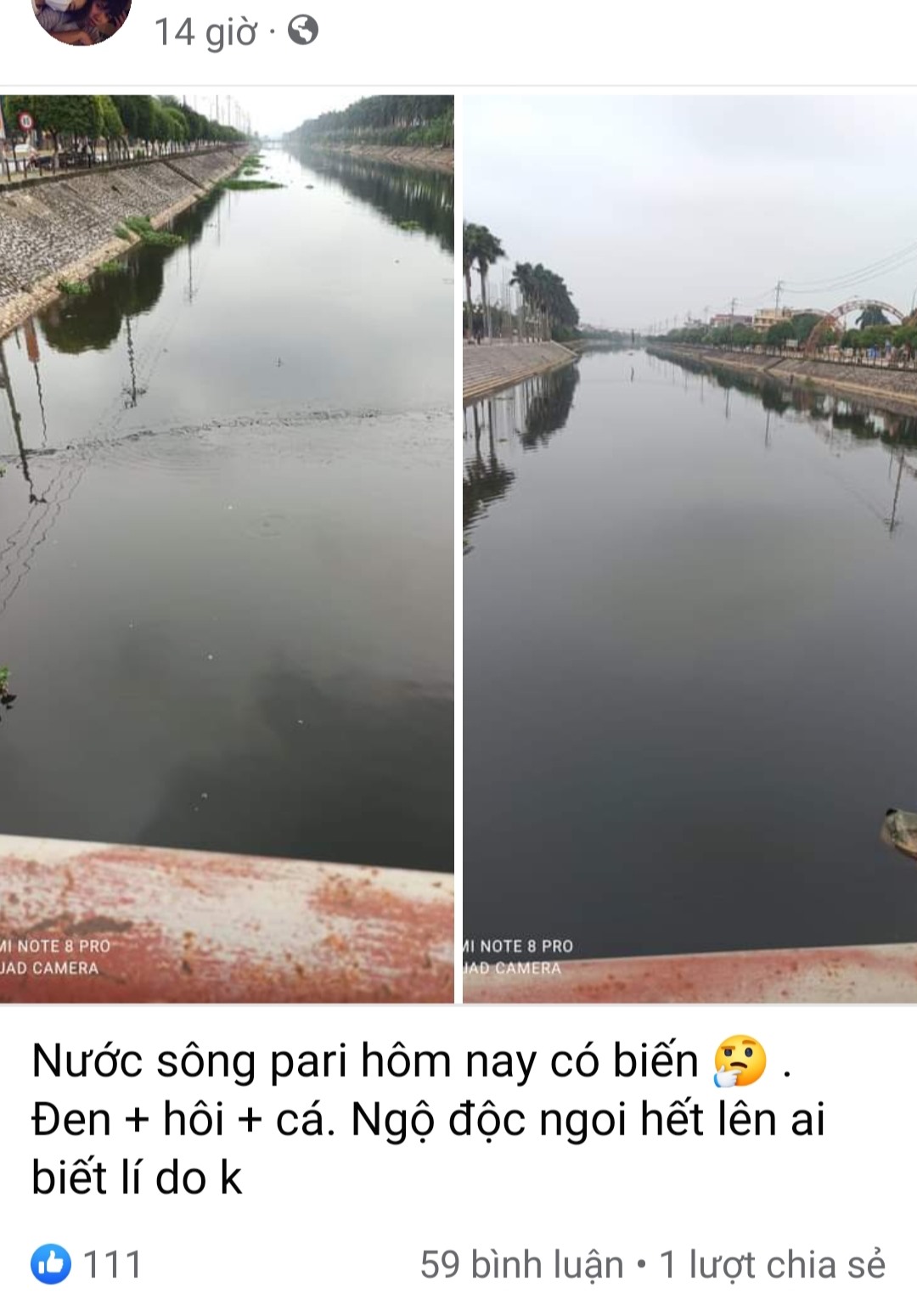 Sông Kiến Giang đoạn qua thành phố Thái Bình ô nhiễm nghiêm trọng