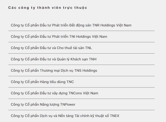 Danh sách Các công ty thành viên trực thuộc TNG Holdings Việt Nam. Ảnh: Chụp màn hình.