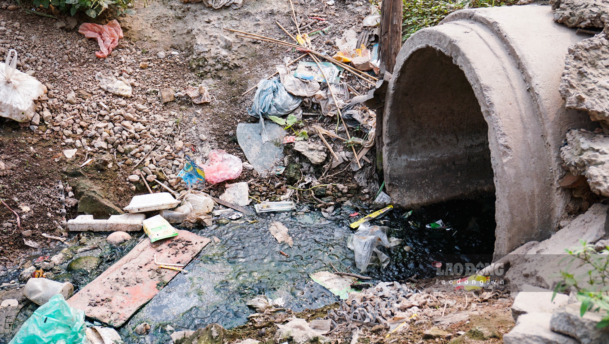 Rác thải cũng bị người dân vứt xuống kênh thoát nước gây ô nhiễm môi trường.
