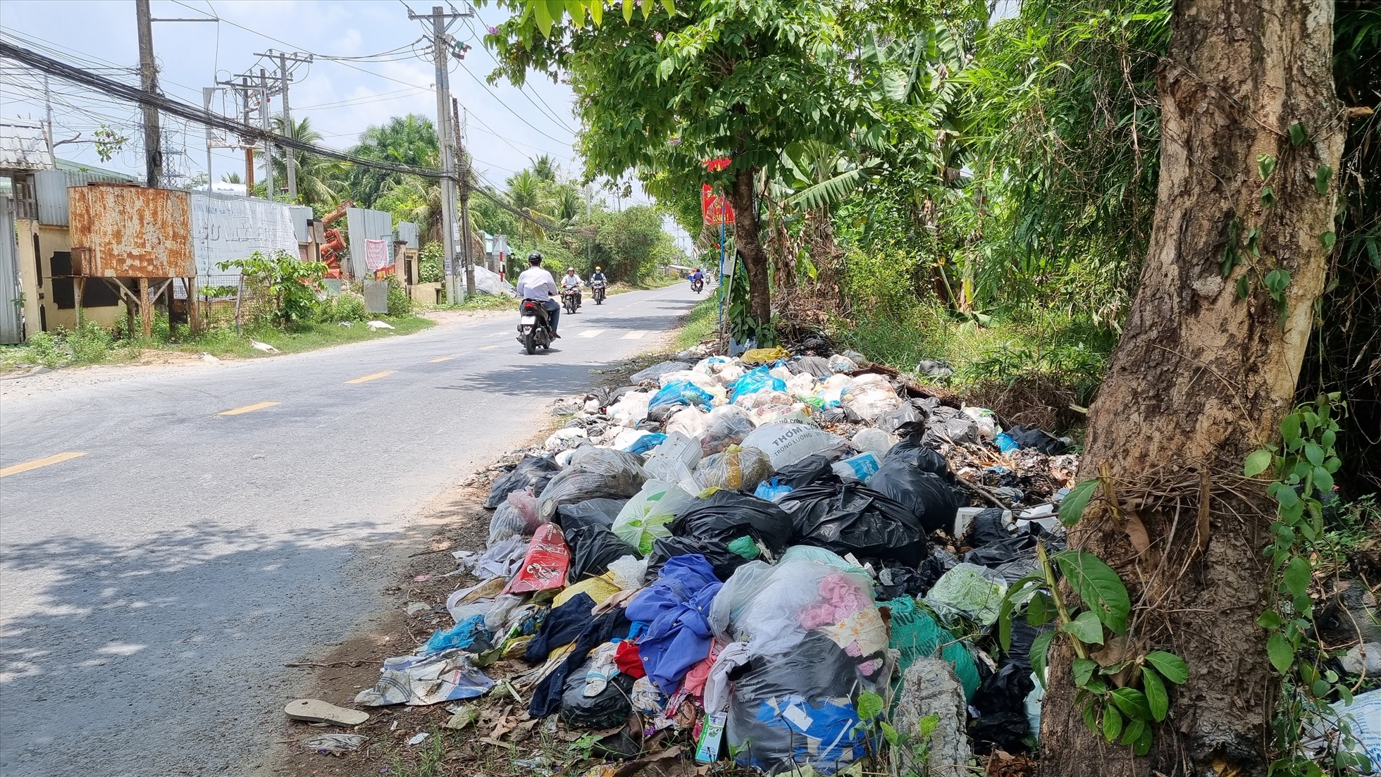 Xuất hiện hàng loạt đống rác tự phát ven đường ở Hậu Giang, Cần Thơ