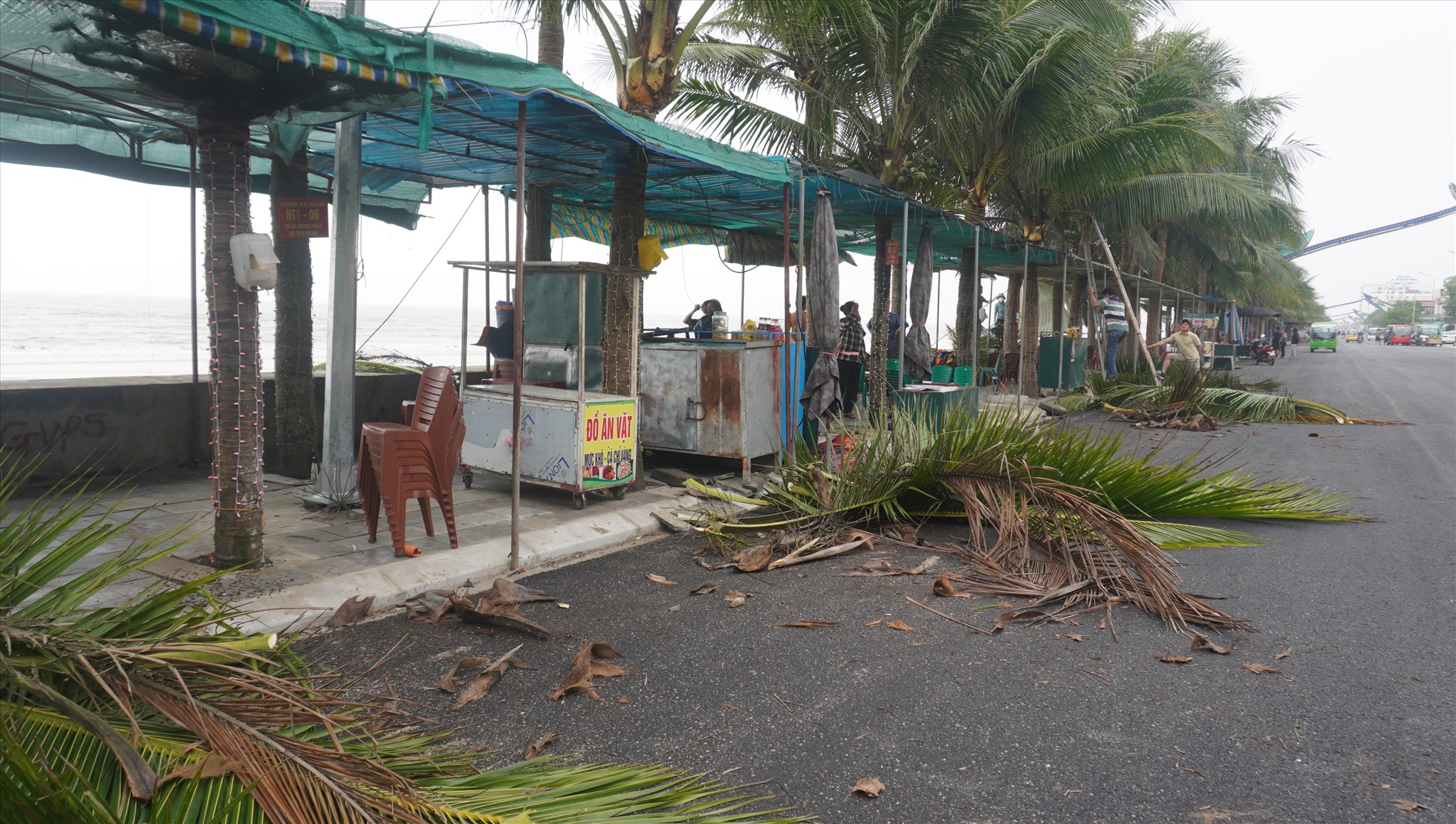 Phát quang hàng cây dừa và chỉnh trang dọc tuyến đường bờ biển Hải Tiến. Ảnh: Quách Du