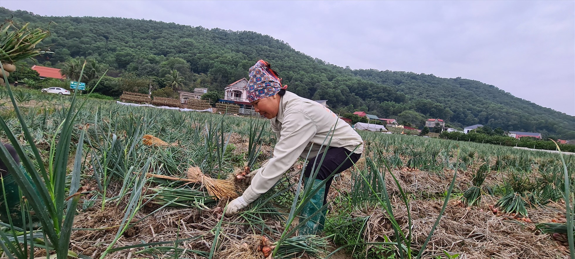 Việt Nam câm kết một hệ thống lương thực, thực phẩm minh bạch, an toàn, bền vững. Ảnh: Vũ Long
