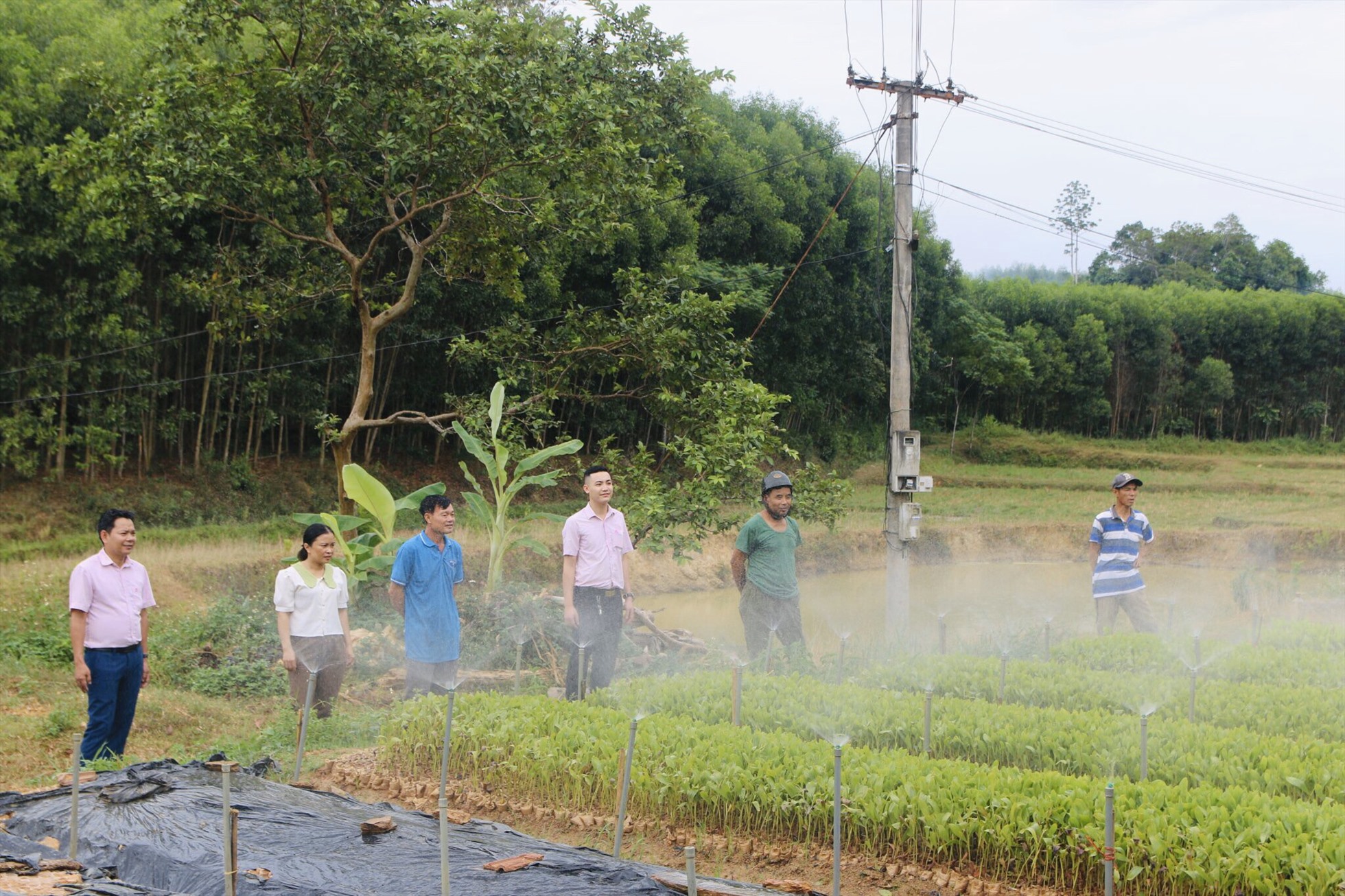 Người nghèo ở Tân Kỳ vay vốn chính sách ươm cây giống lâm nghiệp. Ảnh: Việt Hải
