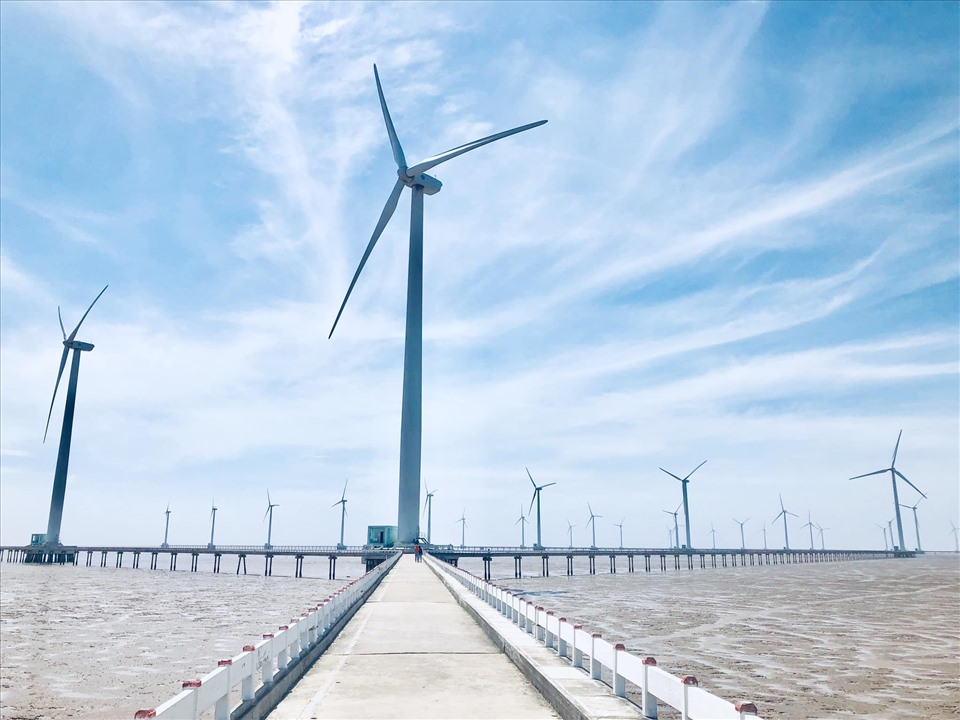 Một cánh đồng điện gió ở Bạc Liêu. Ảnh: Nguyễn Long