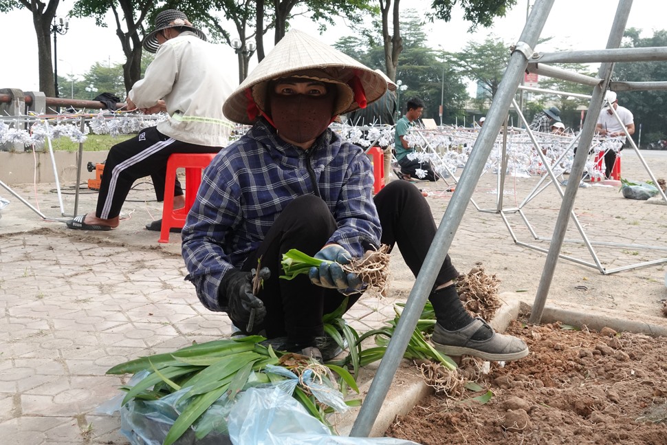 Công nhân trồng hoa làm đẹp tuyến phố ẩm thực. Ảnh: Trần Tuấn.