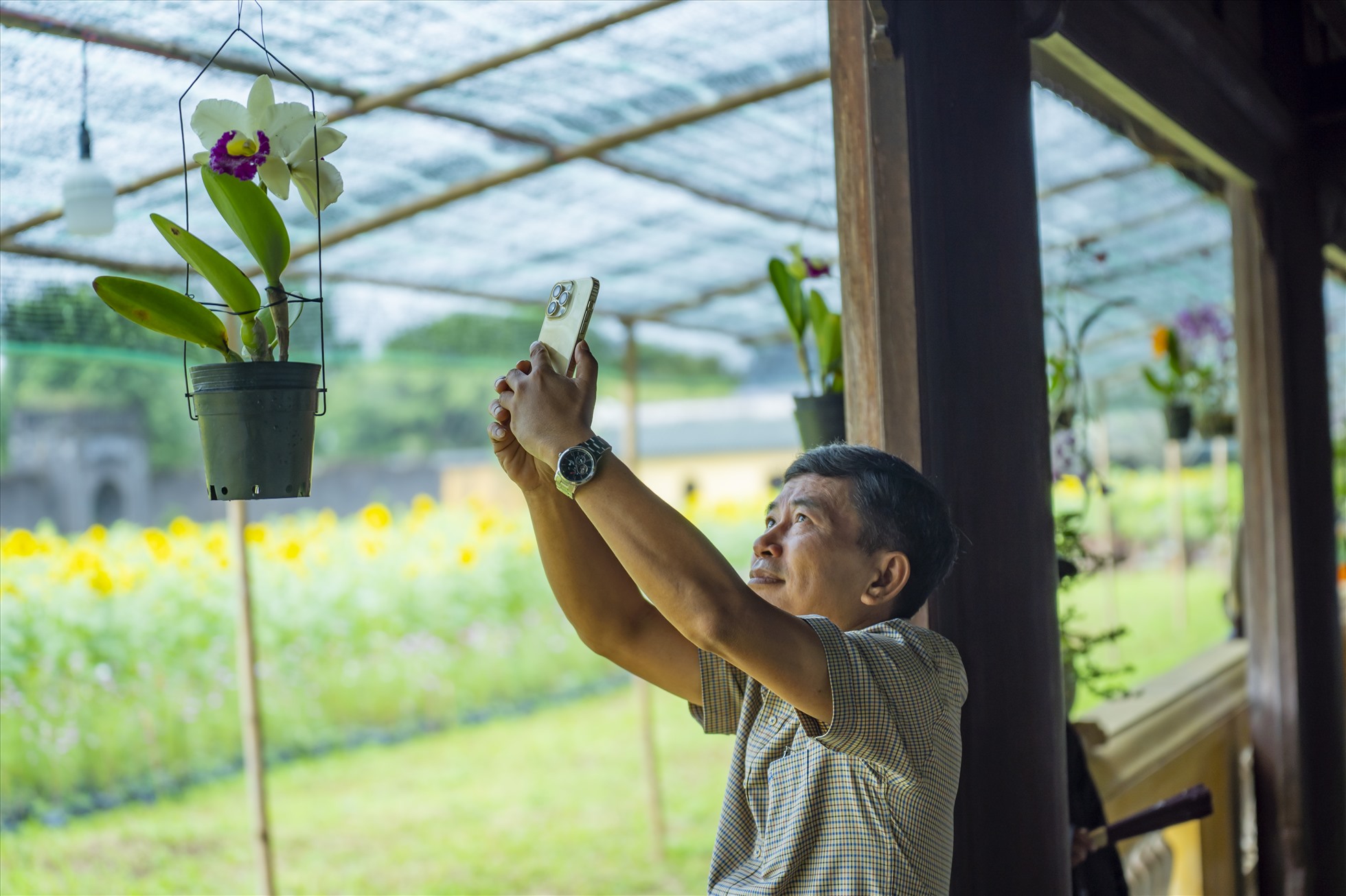 Thông qua triển lãm lần này du khách sẽ được chiêm ngưỡng một không gian cảnh quan thơ mộng của vườn Thượng uyển, đắm mình trong sắc màu rực rỡ của các loài phong lan đầy đủ sắc, hương cùng nhiều loài cây kiểng mang vẻ đẹp Cổ, Kỳ, Nhã, Ý đặc trưng cho mỗi vùng miền.