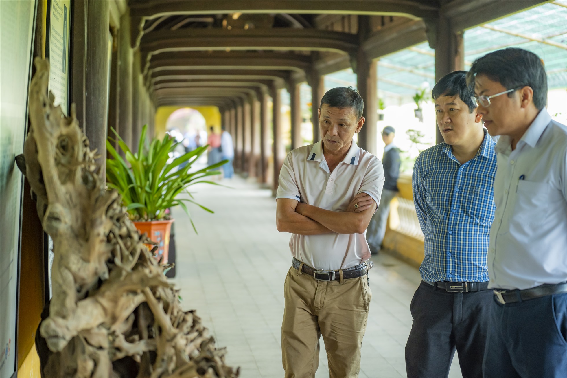 Triển lãm “Cây kiểng và phong lan ba miền” được tổ chức lần này là triển lãm có quy mô lớn nhất từ trước tới nay.