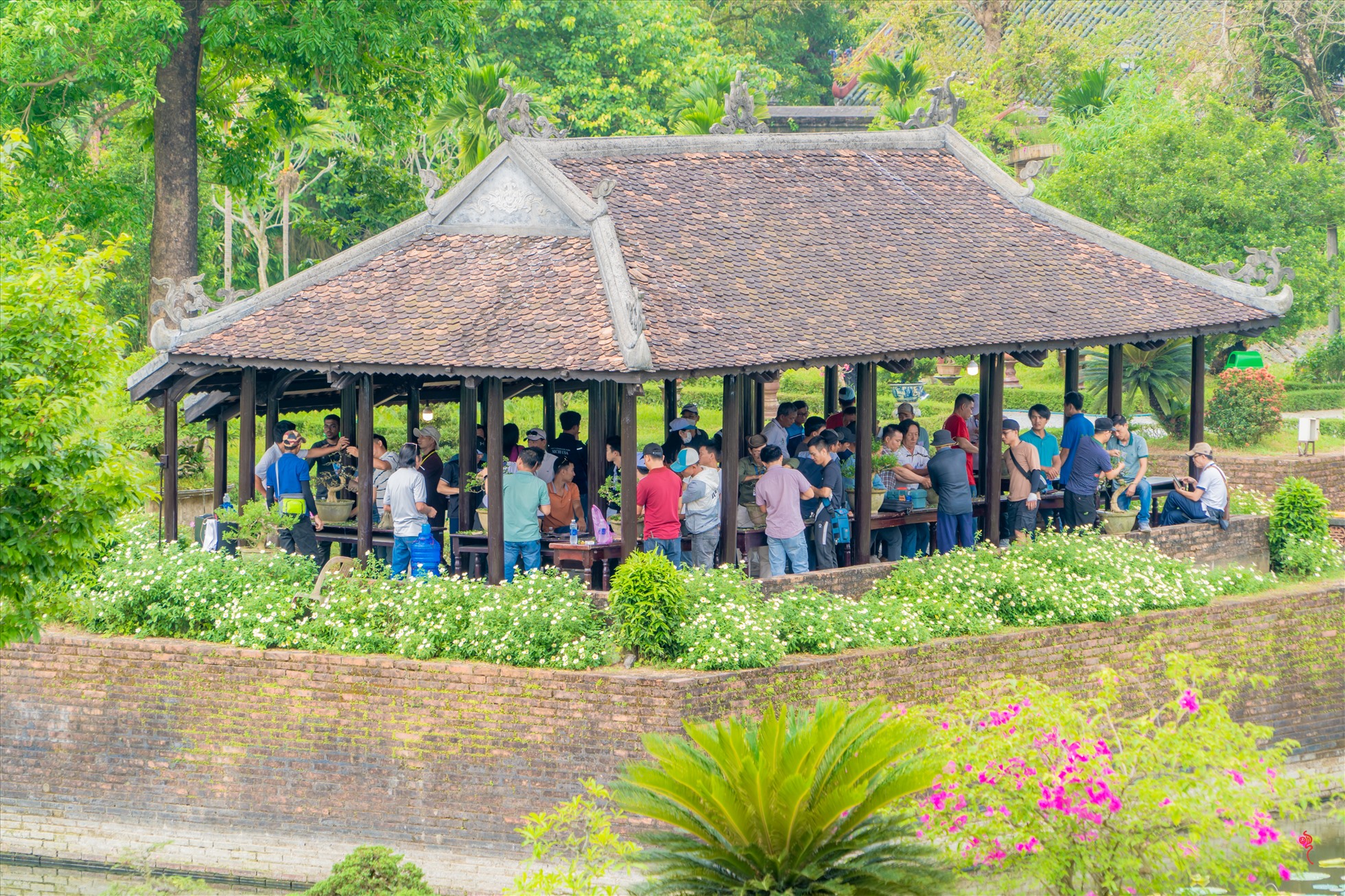 Dịp này là cơ hội để những người dân, du khác ngắm cây kiểng, phong lan của nhiều vùng miền khắp cả nước.