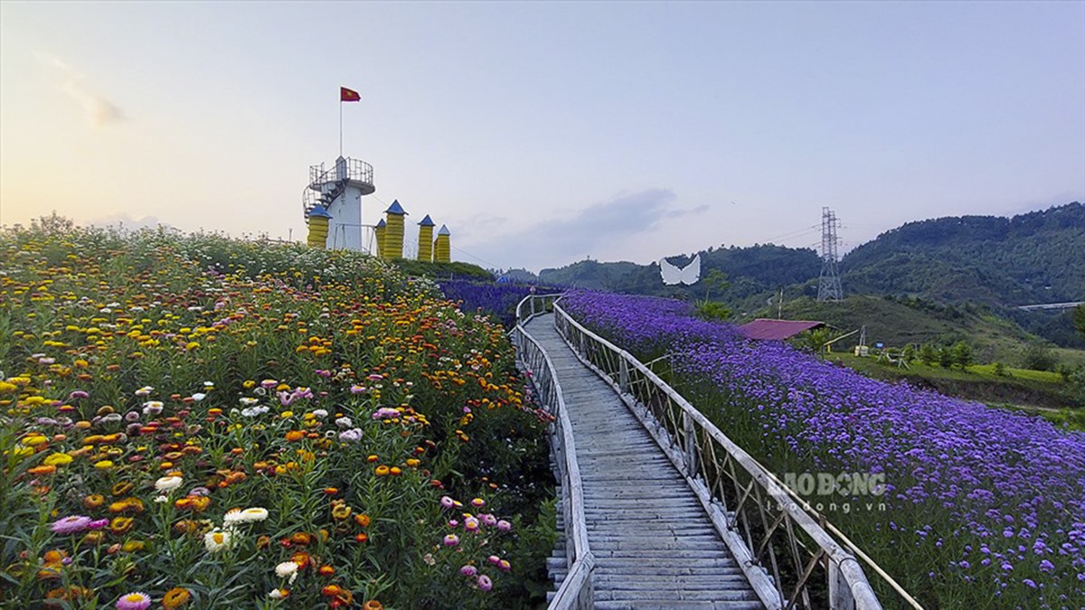 Nơi đây có khí hậu quanh năm mát mẻ nên rất phù hợp để các loài hoa đua nhau khoe sắc.