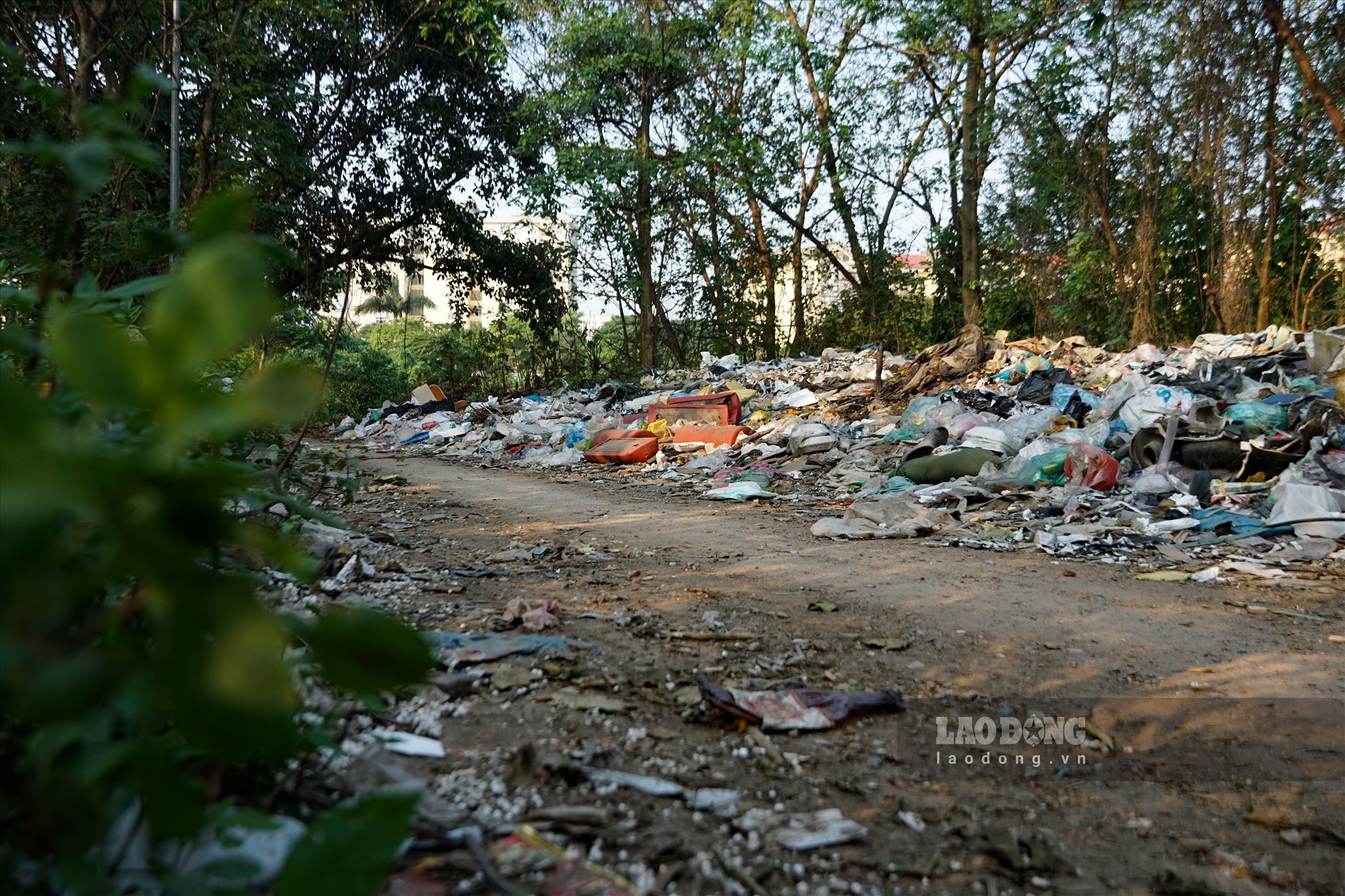 Theo ghi nhận của Lao Động, rác thải, phế liệu được đổ bừa bãi, chất đống và tràn ra khắp ngõ 146 Định Công Hạ.