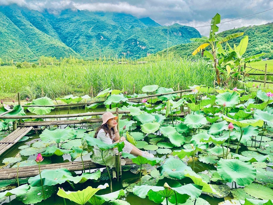 Hồ sen nhỏ ngay cạnh cánh đồng lúa cũng trở thành điểm chụp ảnh yêu thích của nhiều người. Ảnh: Linh boo