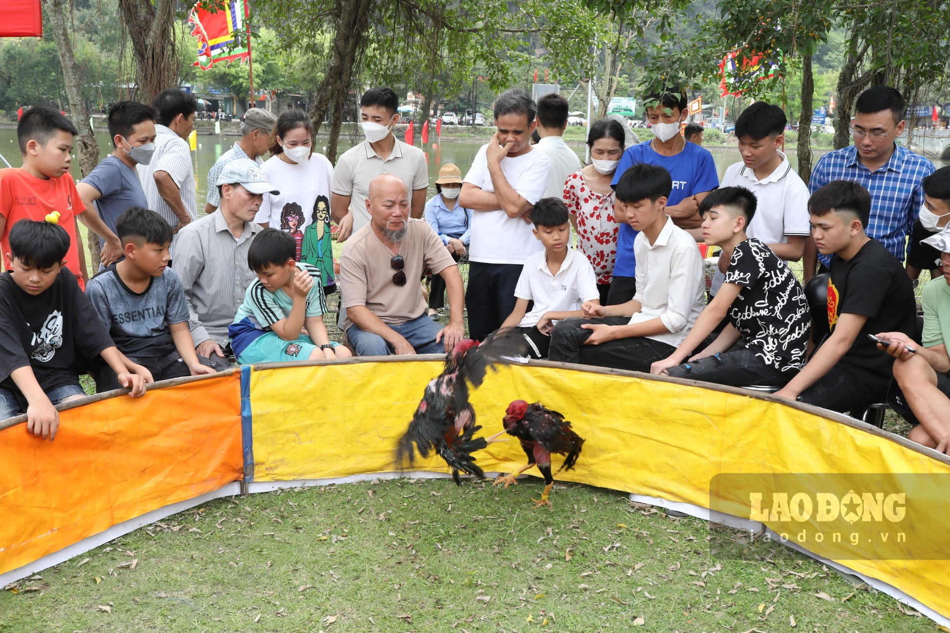 Thi chọi gà do Hội Nông dân tỉnh Ninh Bình tổ chức đã thu hút đông đảo người dân và du khách tham gia cổ vũ. Ảnh: Diệu Anh