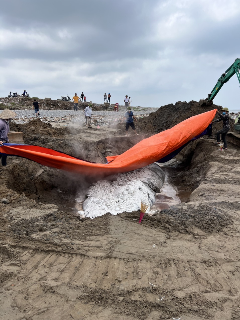 Tiến hành chôn lấp xác cá voi theo nghi thức của người dân địa phương. Ảnh: Trần Phương