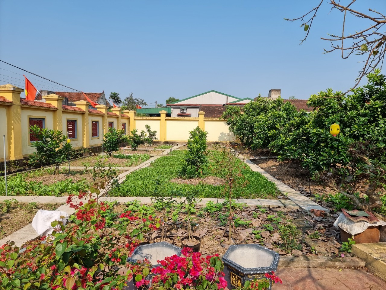 Bà Cao Thị Hợi quy hoạch vườn rất bài bản, đẹp mắt. Ảnh: Quang Đại