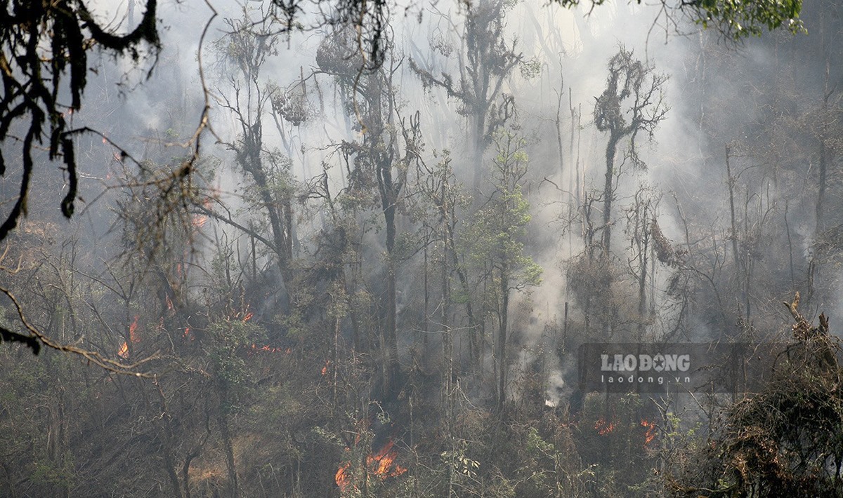 Hiện trường 1 vụ cháy rừng tại Điện Biên. Ảnh: Văn Thành Chương