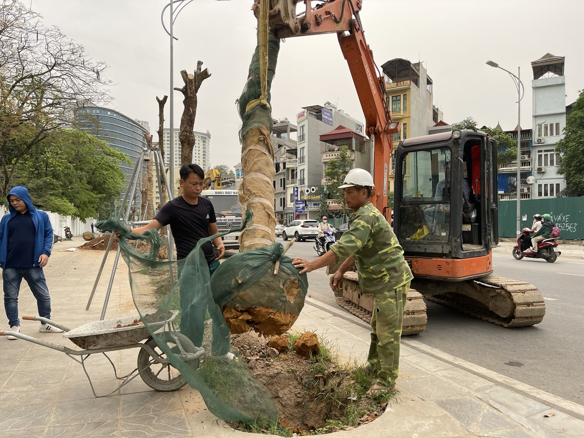 Người và phương tiện được huy động để trồng thay thế những cây xanh bị chết khô trên đường Huỳnh Thúc Kháng. Ảnh: Hữu Chánh