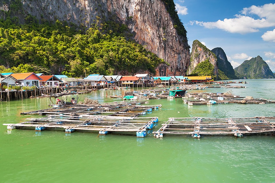 Phuket ngày càng trở nên phổ biến nhờ đa dạng tiện nghi mà nơi đây mang đến. Ảnh: Touring Highlight