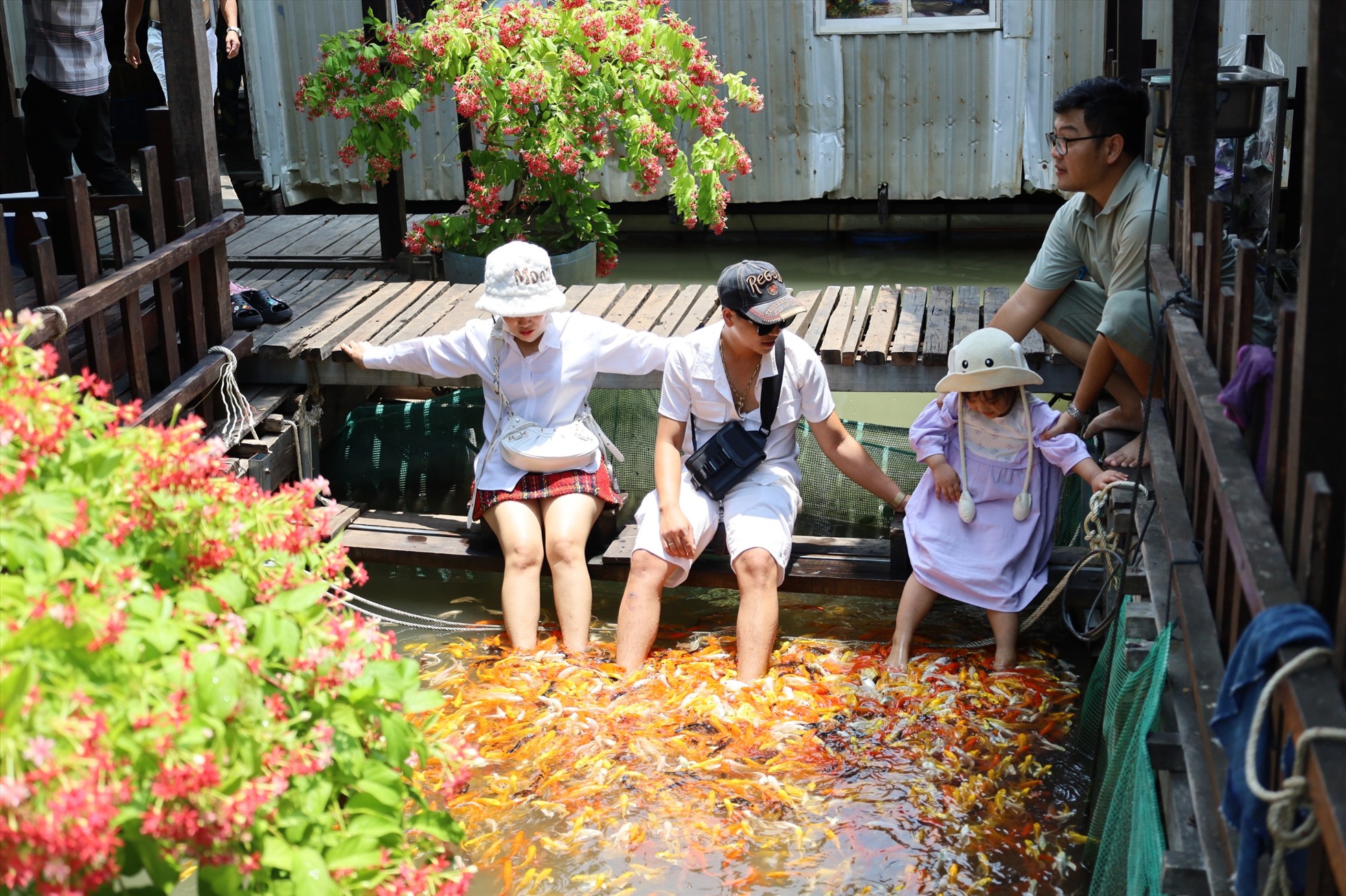 Bên cạnh đó còn được cá massage chân. Ảnh: Tạ Quang