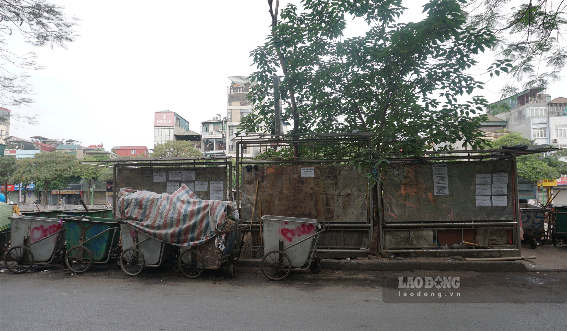 Tại khu vực phố Vũ Tông Phan (quận Thanh Xuân) xuất hiện tình trạng nhiều xe rác được tập kết tại đây chiếm hết không gian mặt trước của biển quảng cáo rao vặt, gây mất mĩ quan đô thị.