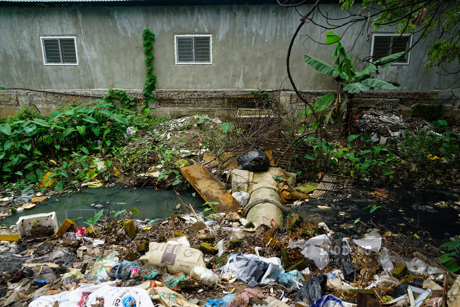 Lượng rác nhiều đến mức tràn xuống dưới lòng mương gây tắc nghẽn dòng chảy.