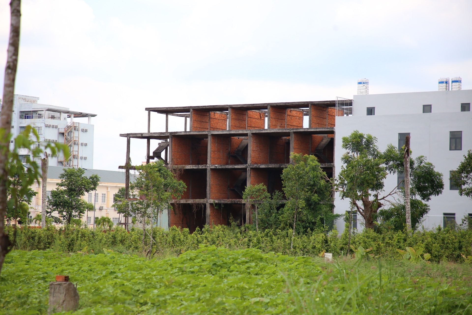 Khu đô thị Nam Cần Thơ với hơn 10 dự án xây dựng dân cư, 4 dự án khu tái định cư trên diện tích hơn 470 ha.