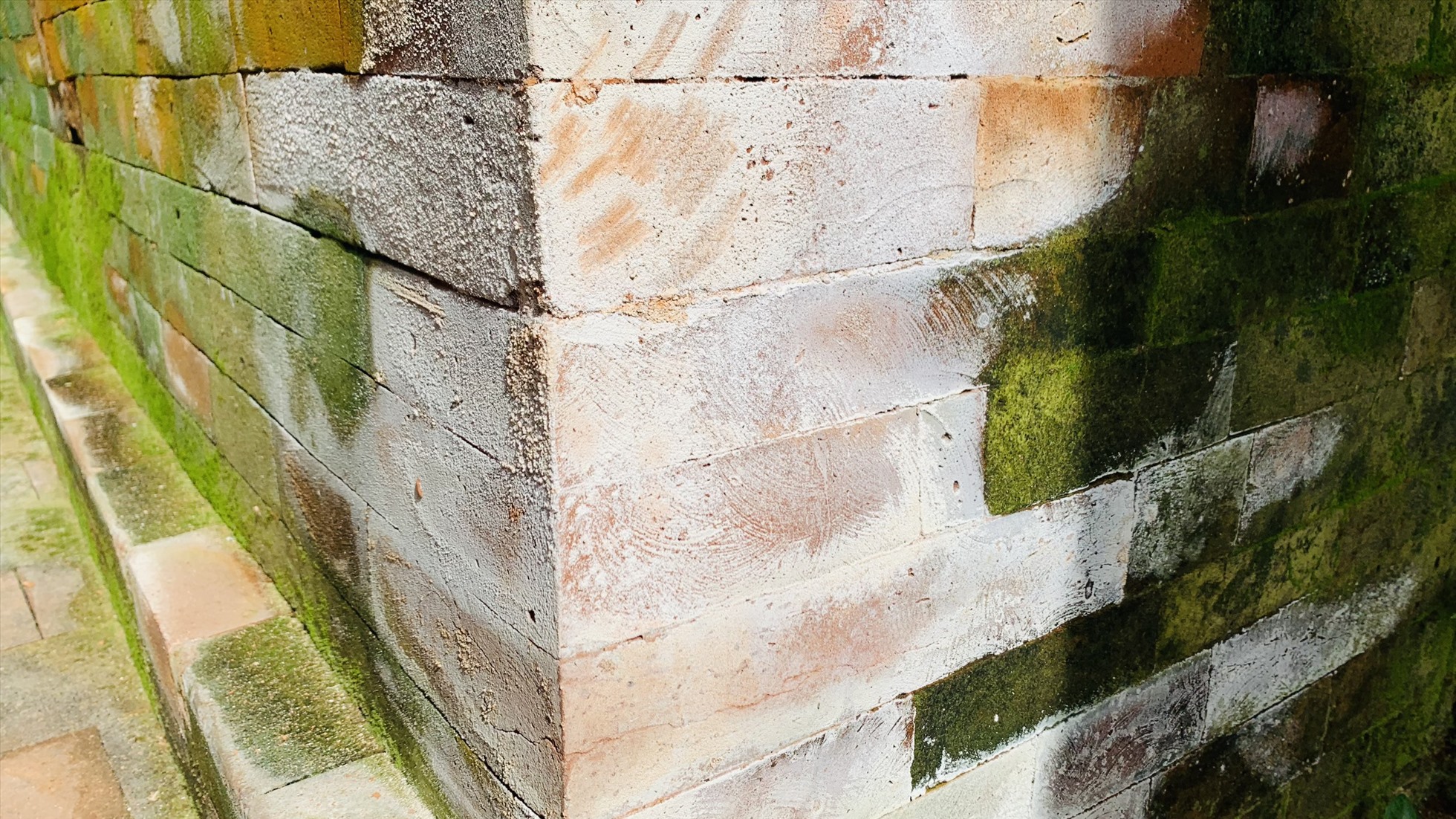 Hiện tượng muối hóa, rêu phong phủ trên bề mặt gạch mới trùng tu ở di tích tháp Chăm Khương Mỹ. Ảnh Hoàng Bin