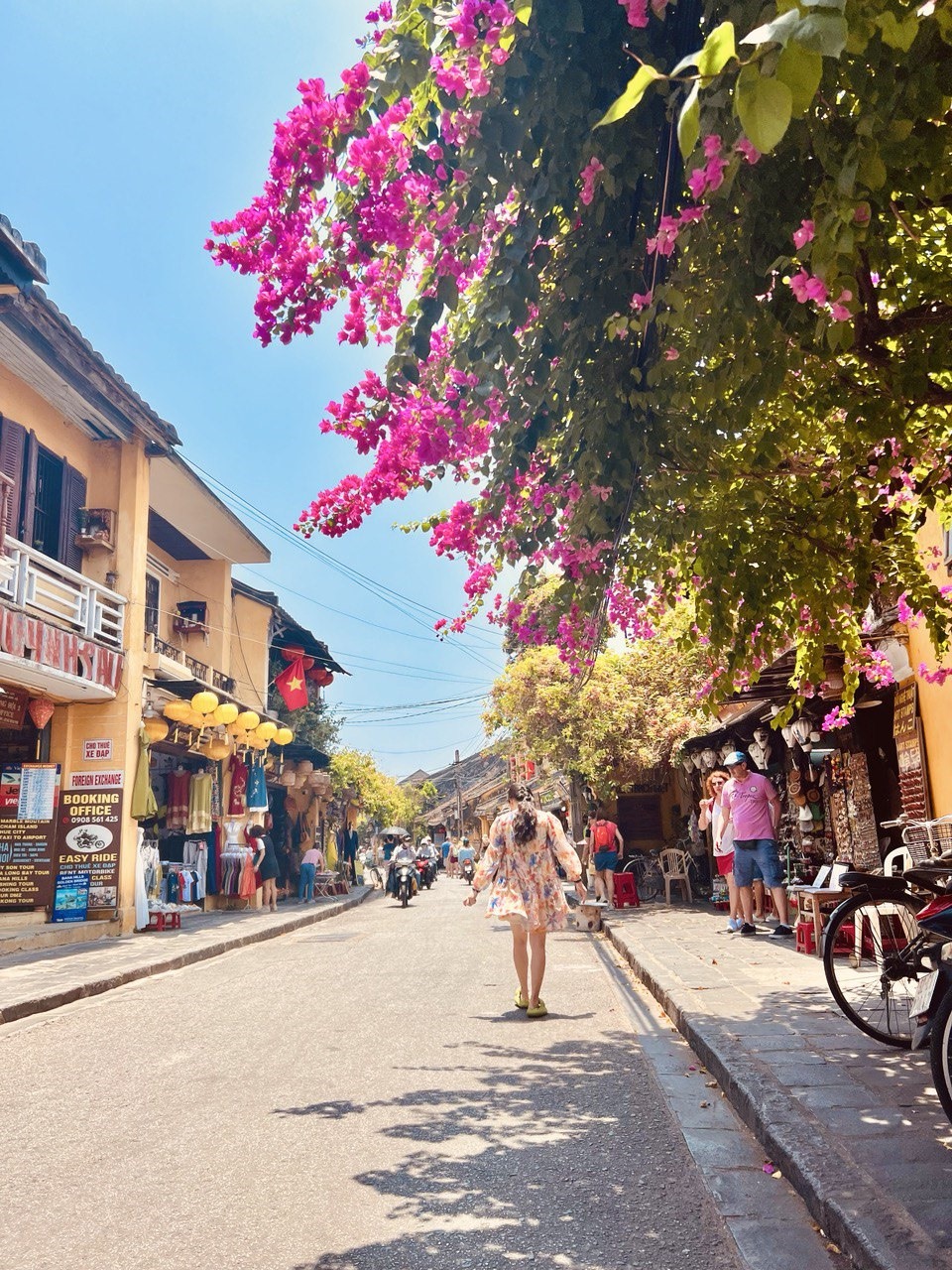 Những giàn hoa giấy rực rỡ đã trở thành “nỗi ám ảnh” của nhiều người với Hội An.