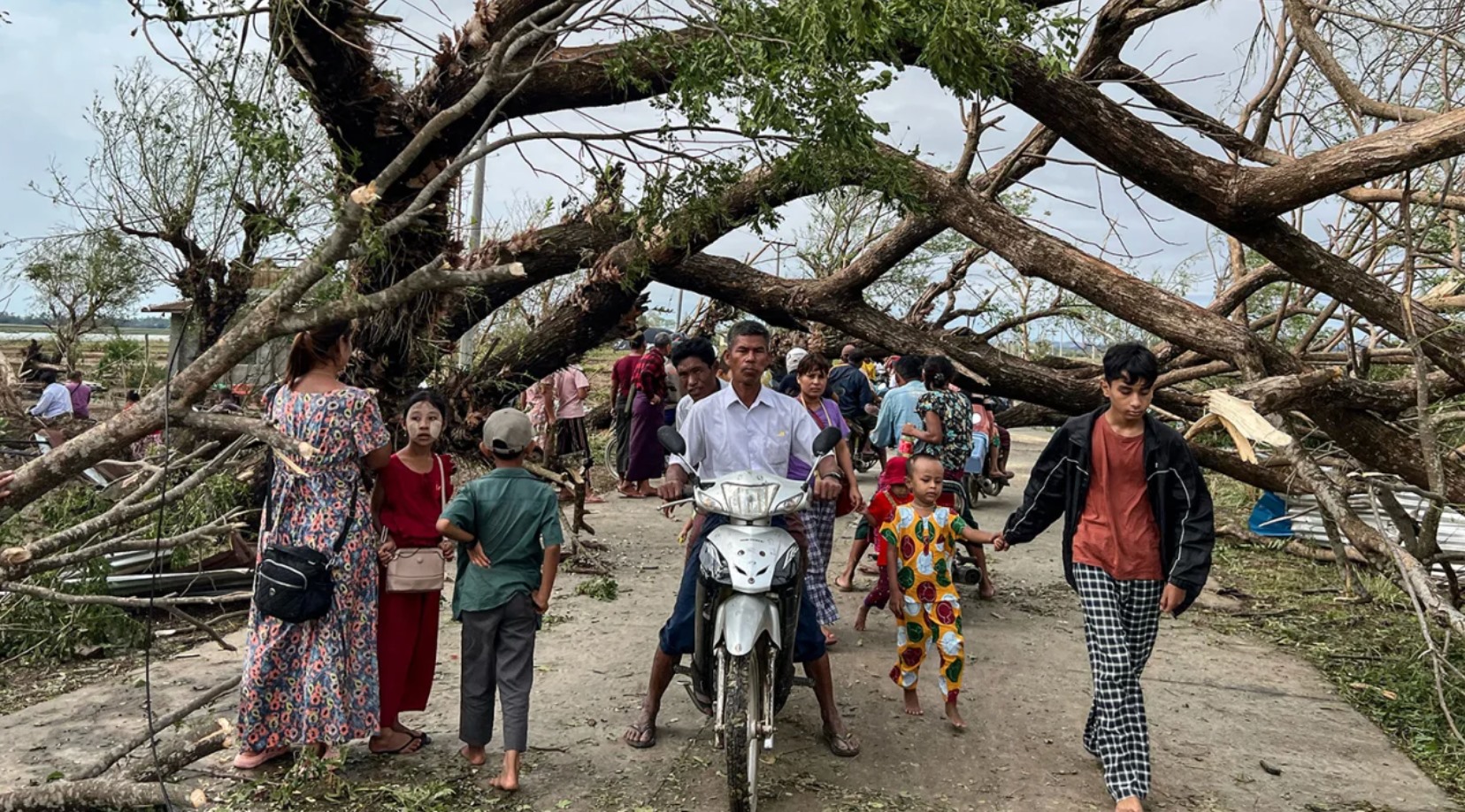 Bão Mocha đổ bộ, quật đổ cây cối ở Kyauktaw, bang Rakhine, Myanmar, ngày 15.5.2023. Ảnh: AFP