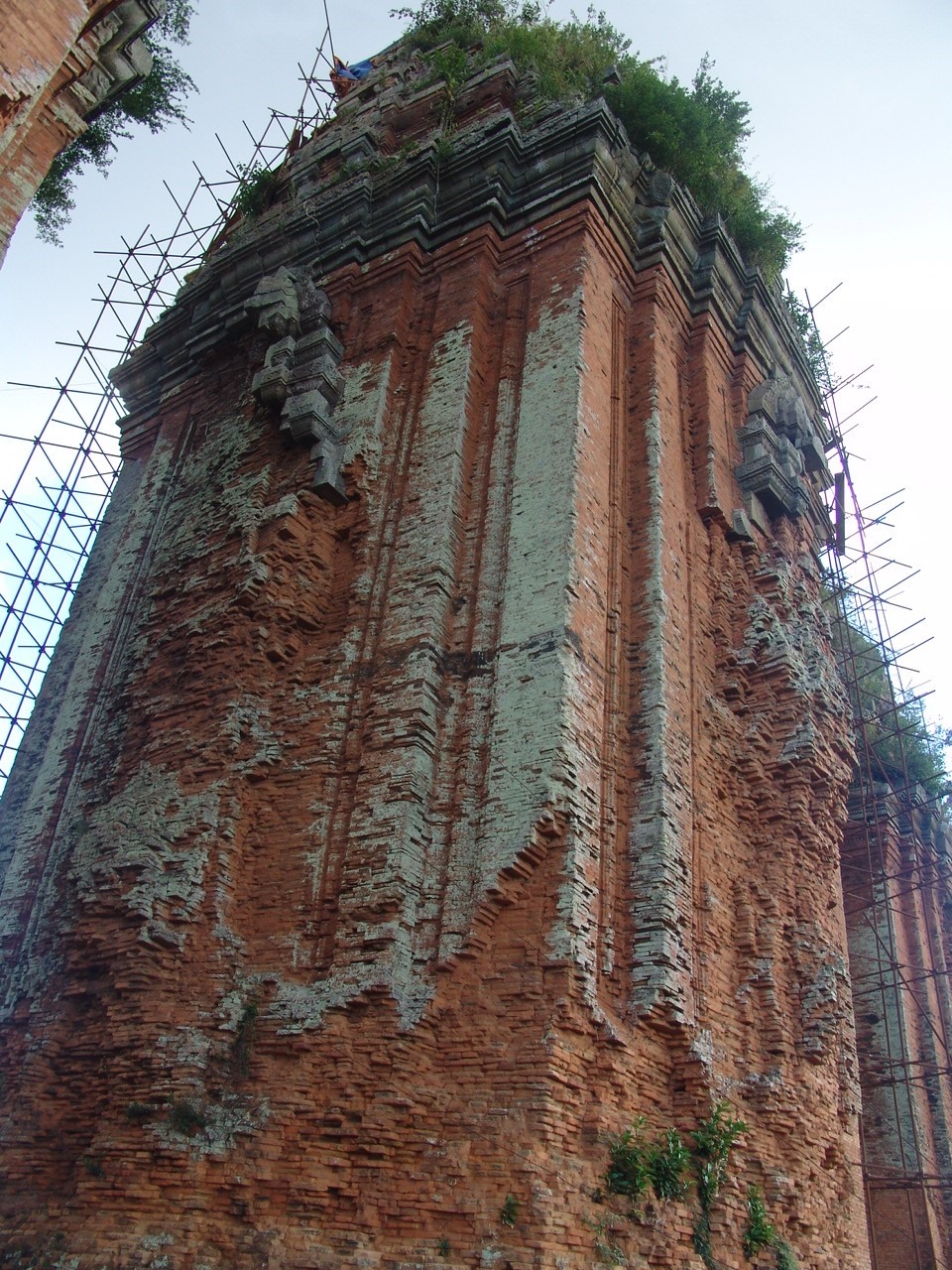 Tháp Dương Long, Bình Định rêu mốc xanh lè sau trùng tu. Ảnh NTH