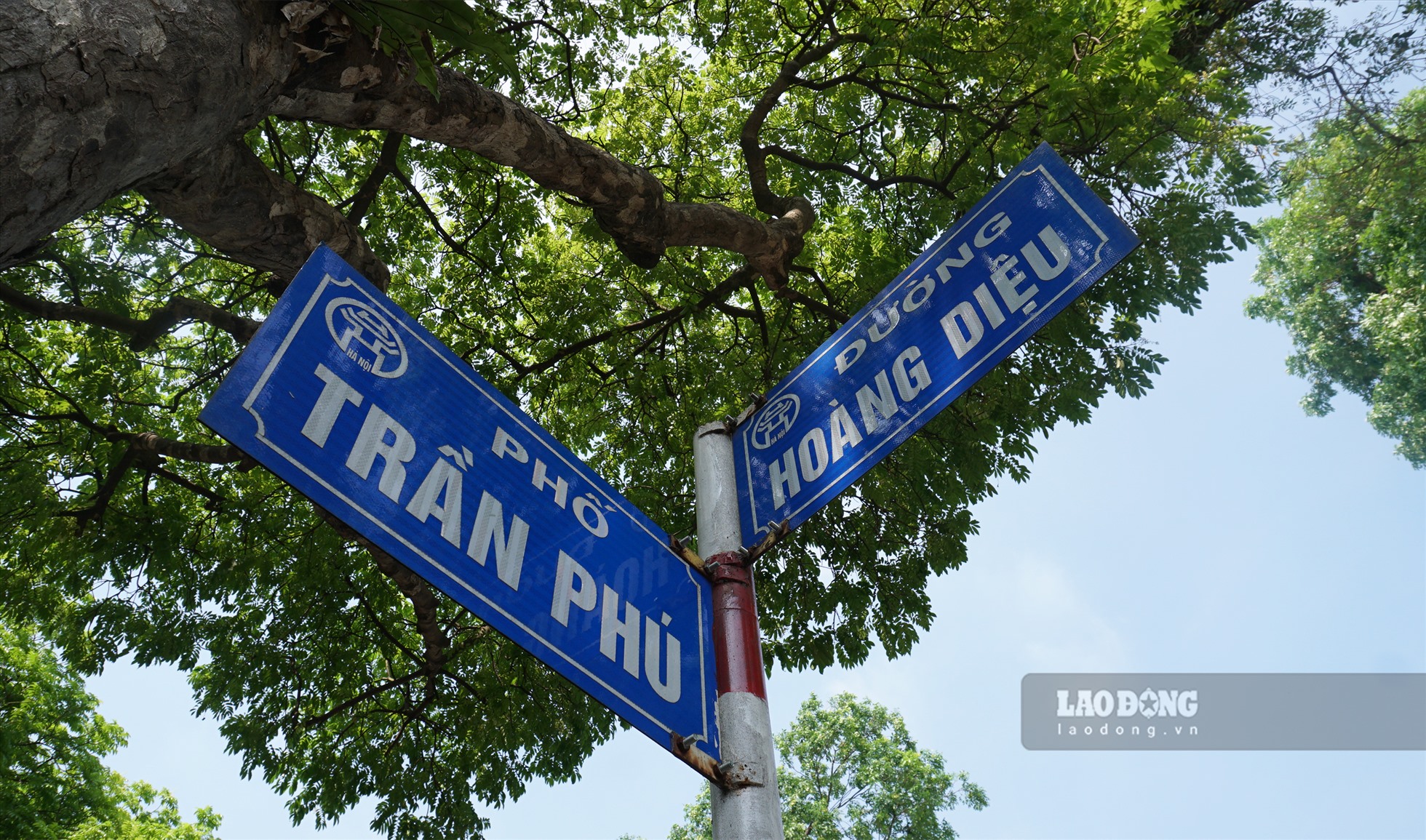 Đường Trần Phú cũng là một trong những con đường rợp bóng cây xanh của Thủ đô.