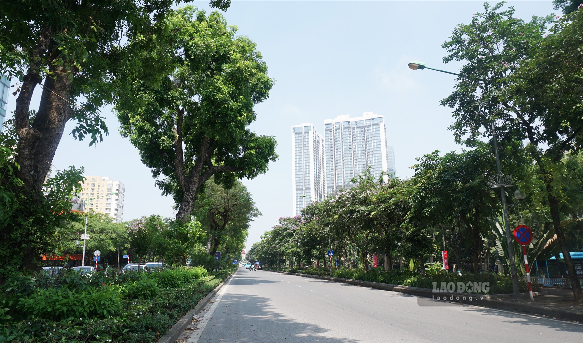 Đường Kim Mã (quận Ba Đình) với hàng cây xanh xà cừ ở giữa đường như là “chiếc ô” lý tưởng cho người tham gia giao thông trên tuyến đường này vào những ngày nắng nóng.