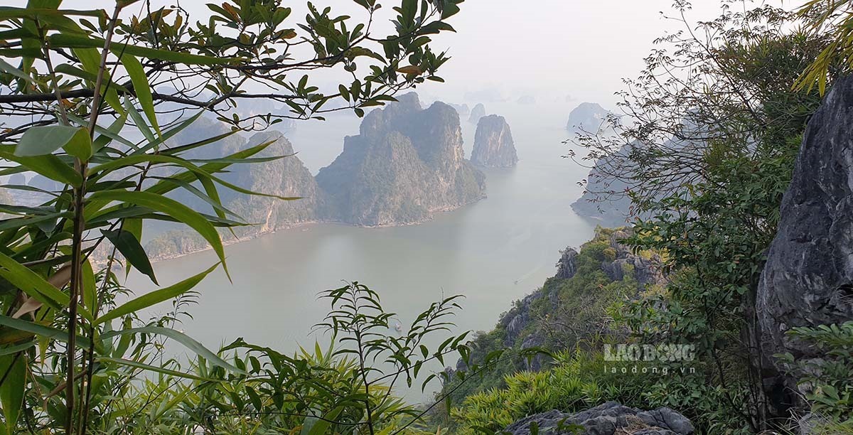 Vịnh Hạ Long nhìn từ trên đỉnh núi Bài Thơ. Ảnh: Nguyễn Hùng