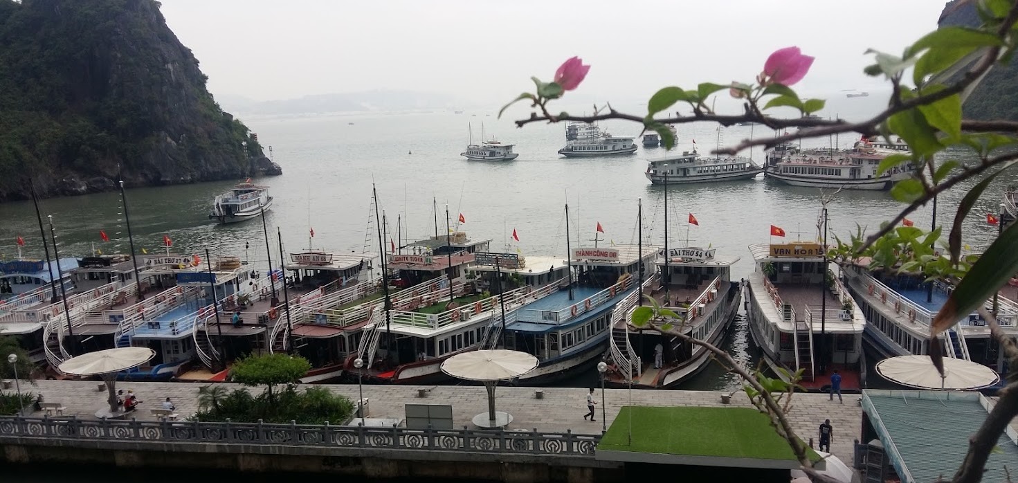 Tàu tiếng đưa du khách ghé tham quan hang Thiên Cung - Đầu Gỗ. Ảnh: Nguyễn Hùng