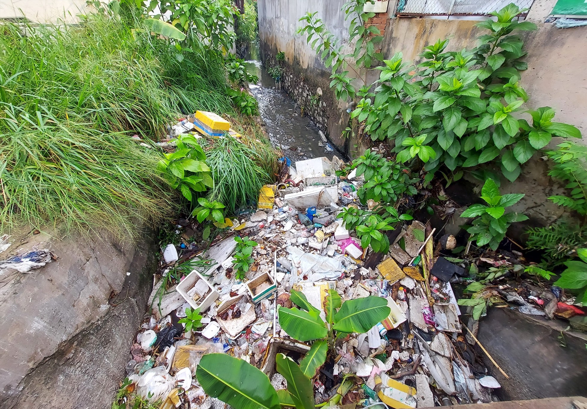 Người dân sống gần đây cho biết rác thải bịt cống thoát nước nhưng chính quyền địa phương không có ai dọn dẹp. Mỗi khi mưa lớn gây tắc nghẽn dòng chảy, người dân phải ra vướt rác để nước thoát nhanh hơn.